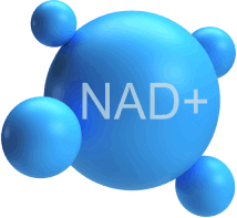 NAD+